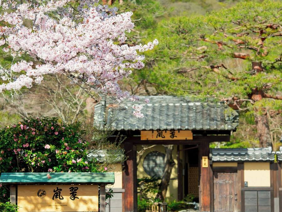 A traditional Japanese gate with a sign, surrounded by lush greenery and cherry blossoms.