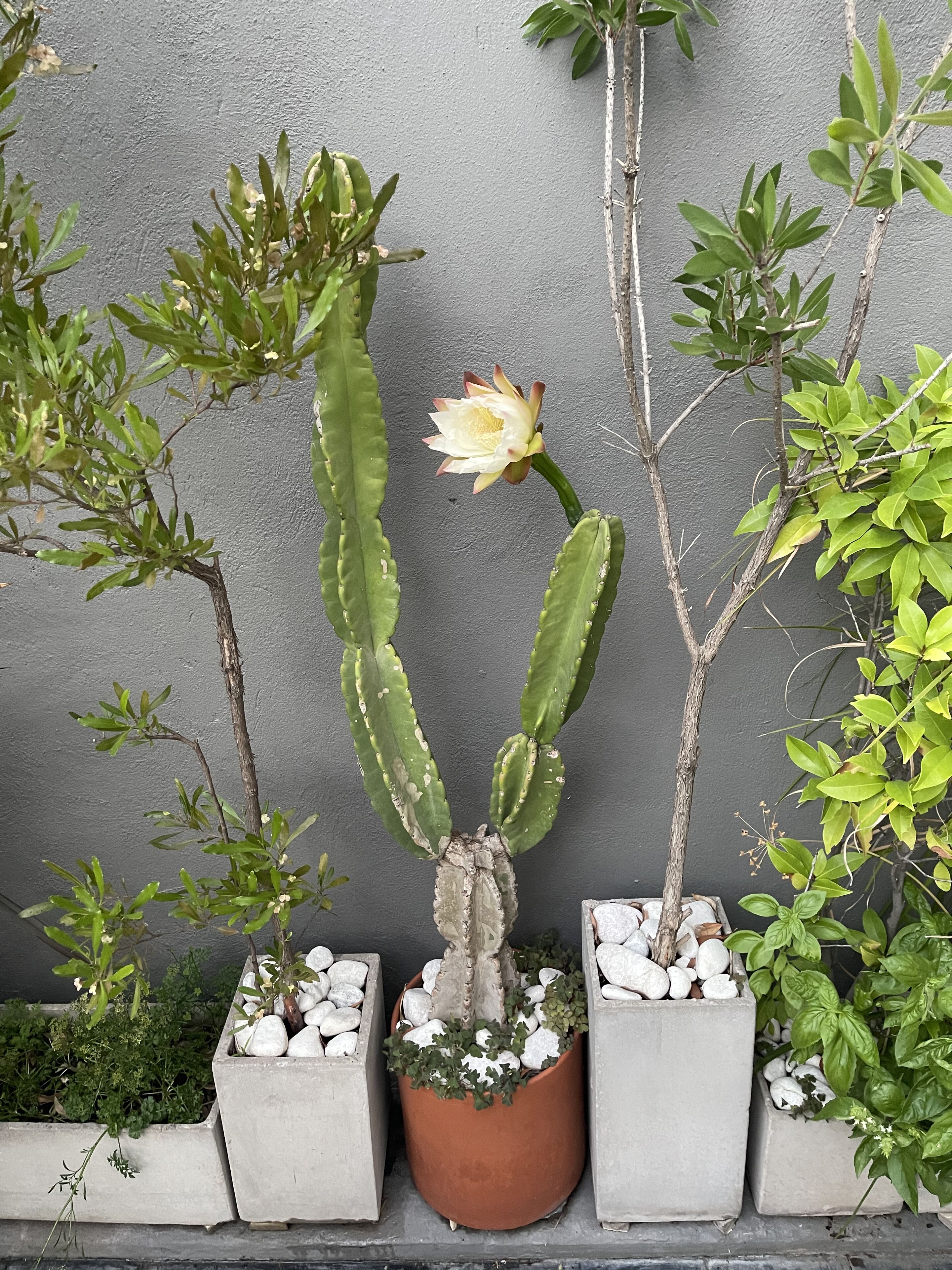 Photo - Le Petit Palais