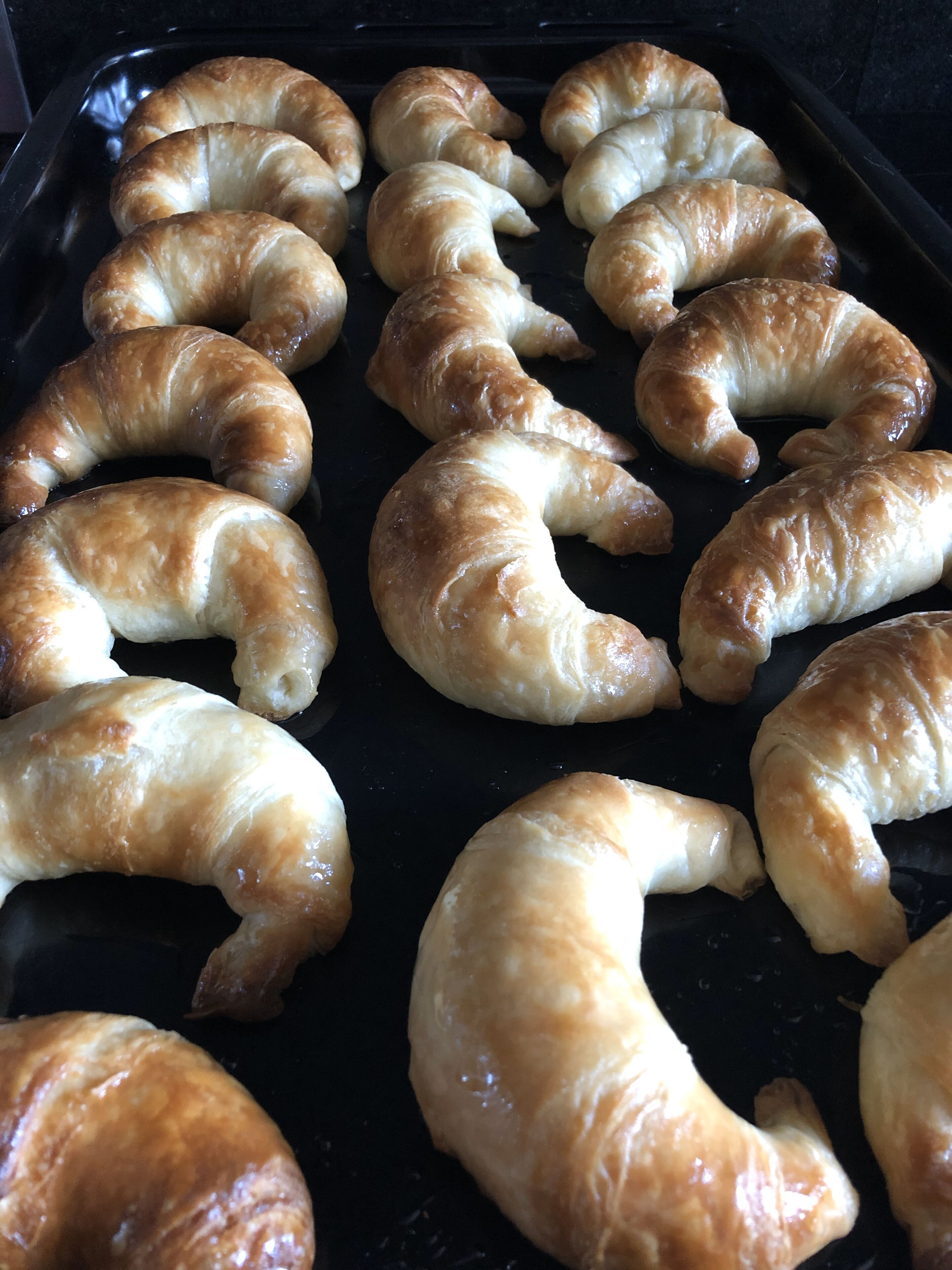 Photo - Le Petit Palais