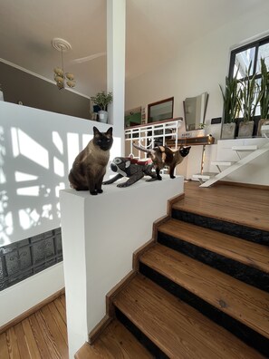 Détail de l’intérieur