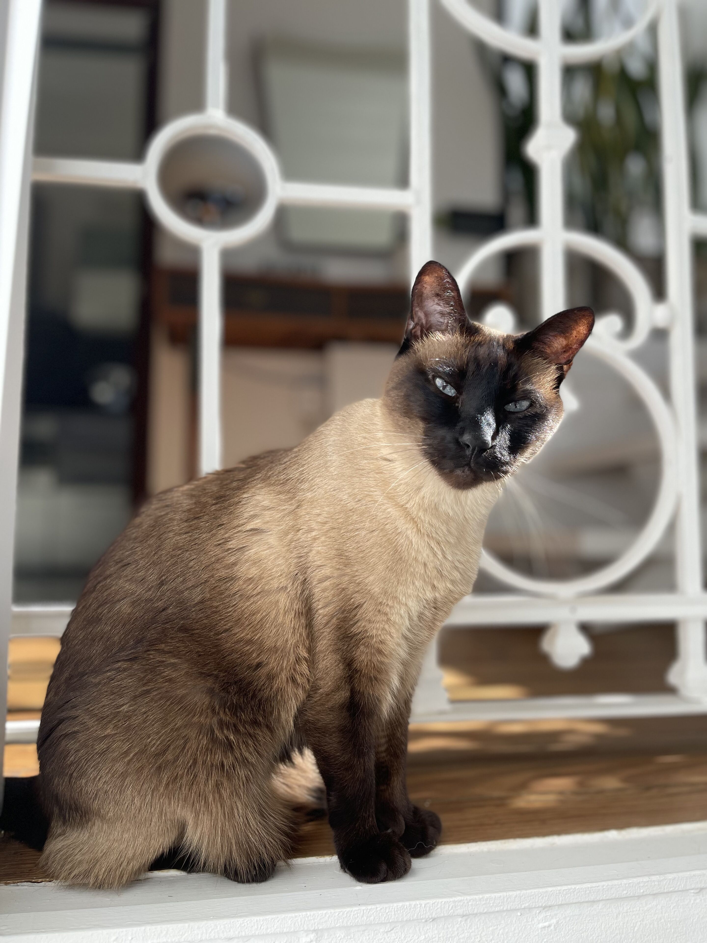 Foto - Le Petit Palais