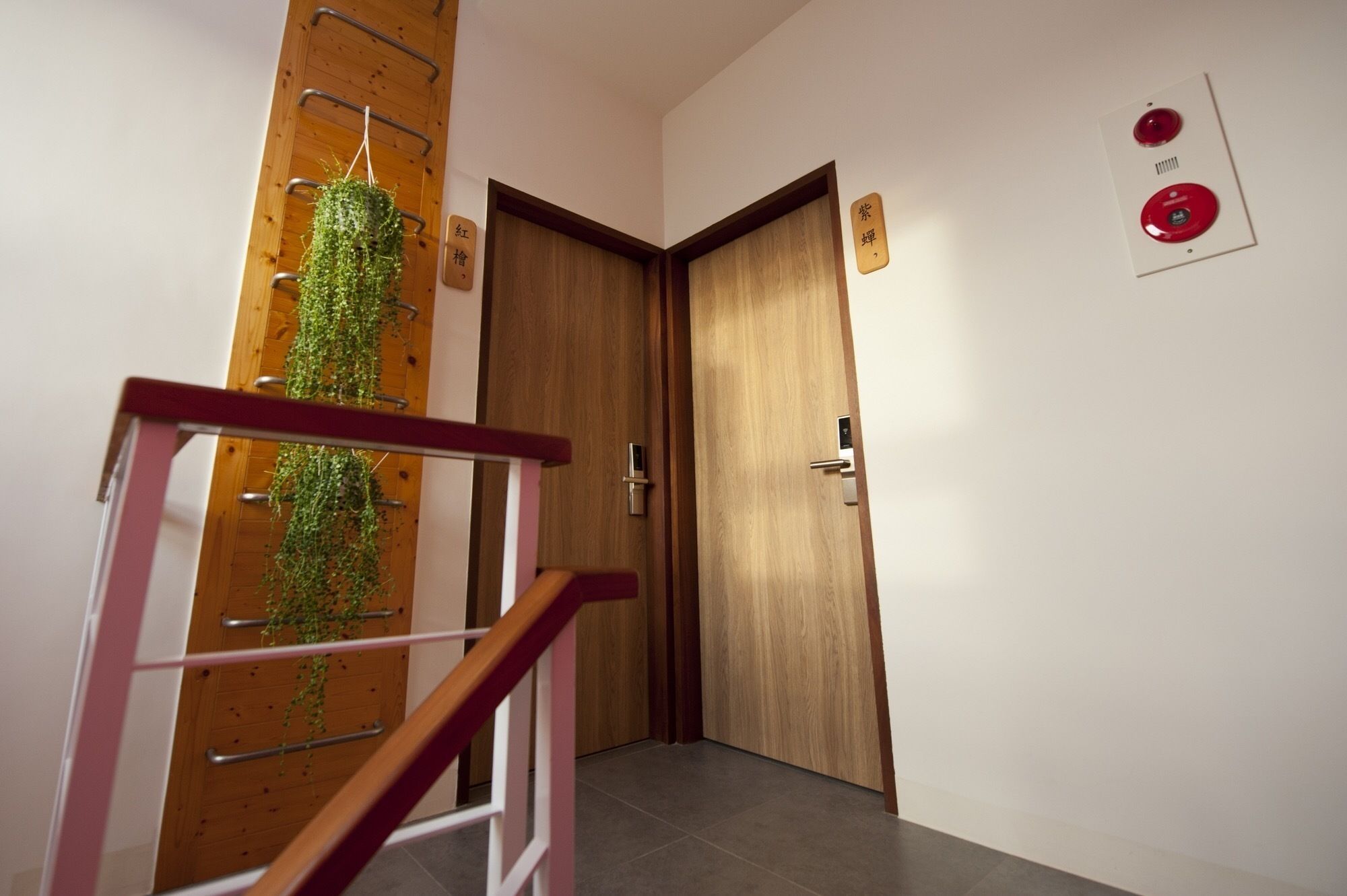 A wooden staircase with a metal railing, a wooden wall with a hanging plant, and a closed wooden door with a red emergency button on the wall.