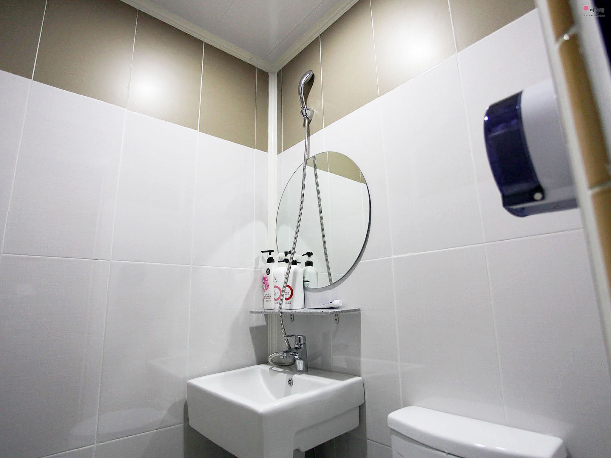 A bathroom with a white sink, a toilet, and a shower with a handheld showerhead.
