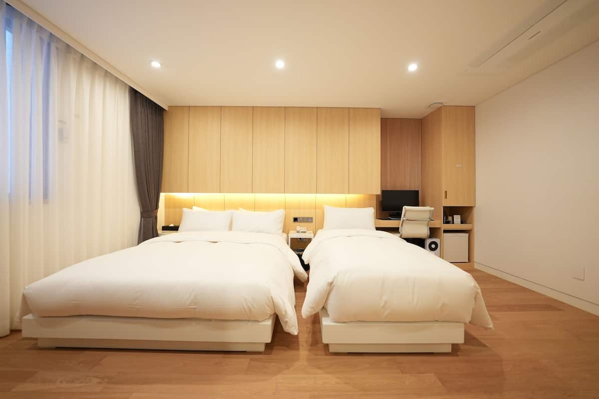 Habitación Deluxe con 2 camas individuales | 1 dormitorio, sistema de insonorización, wifi gratis