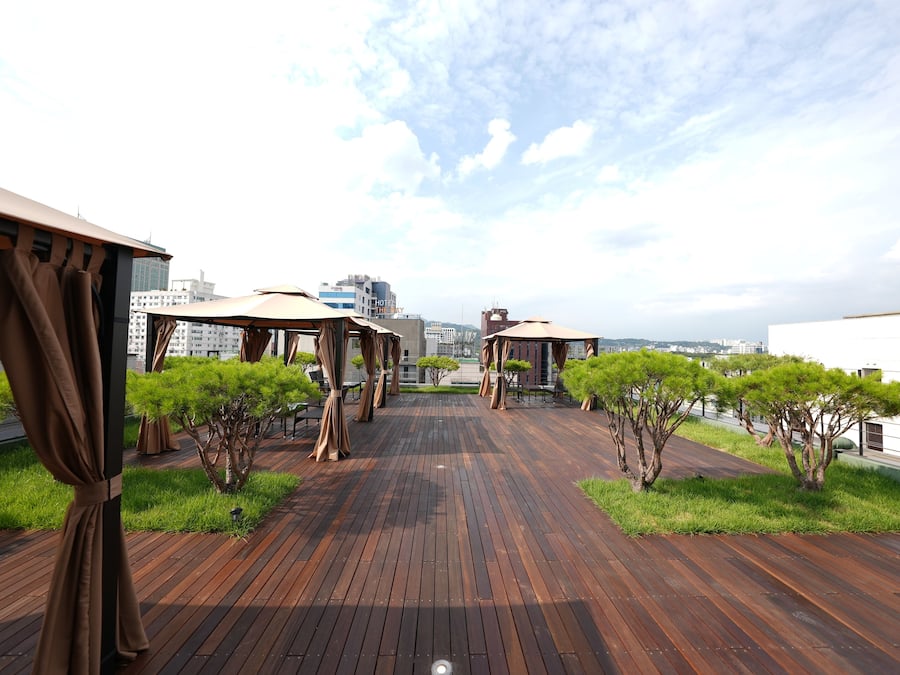 Terraza o patio