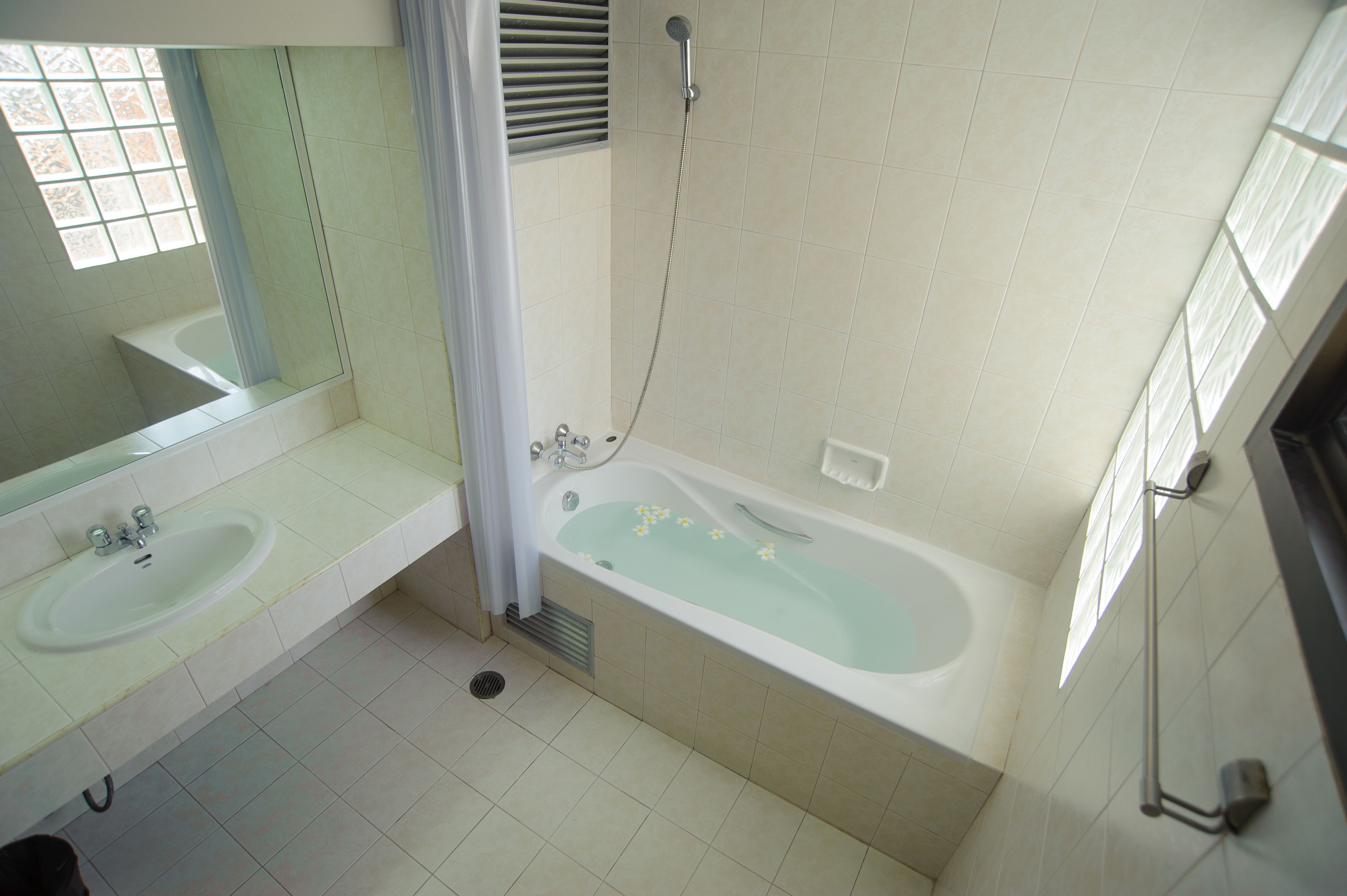 combined shower/bathtub, spring water bathtub, hydromassage showerhead