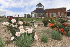 Exterior - Aurora Manor Rooms (Pomonal)