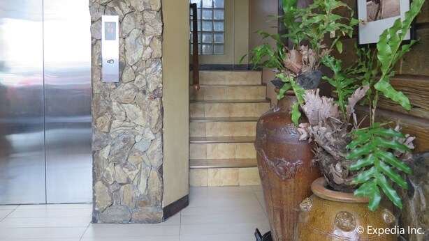 A stone wall with a metal elevator, a staircase, and a large decorative vase with a plant.