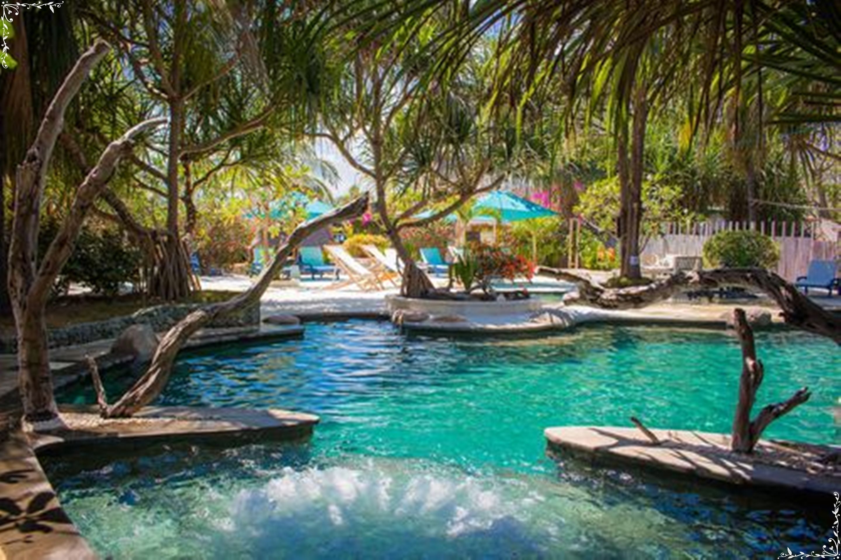 outdoor pool, pool loungers