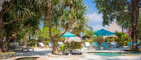 Outdoor pool, sun loungers