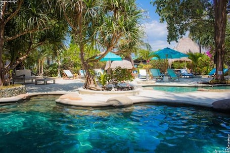 Outdoor pool, sun loungers