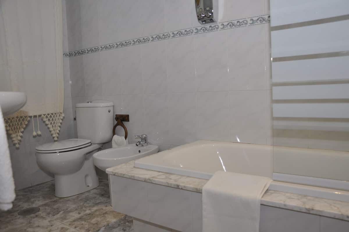 combined shower/bathtub, free toiletries, hair dryer, towels