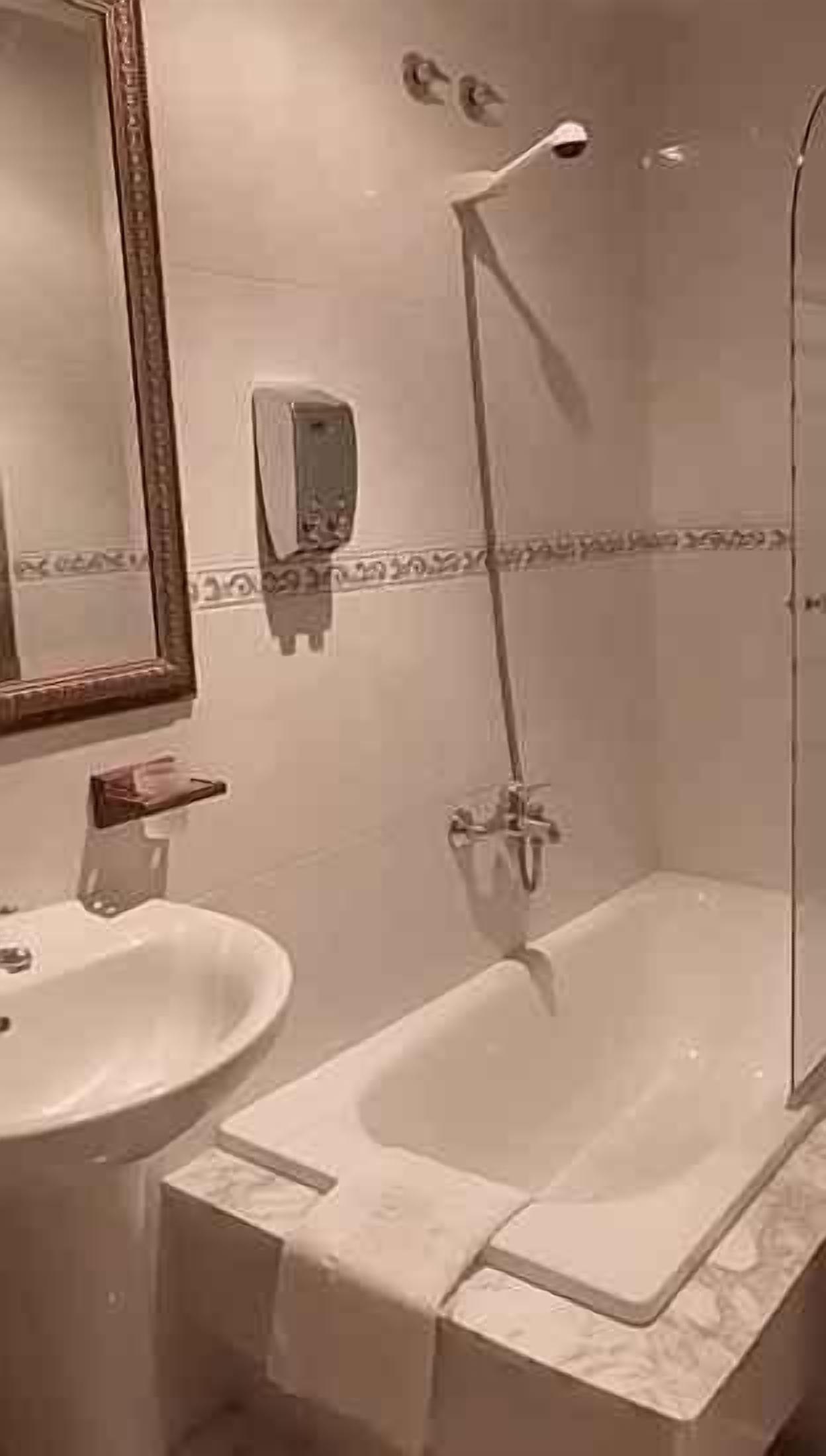 double or twin room | bathroom | combined shower/bathtub, free toiletries, hair dryer, towels