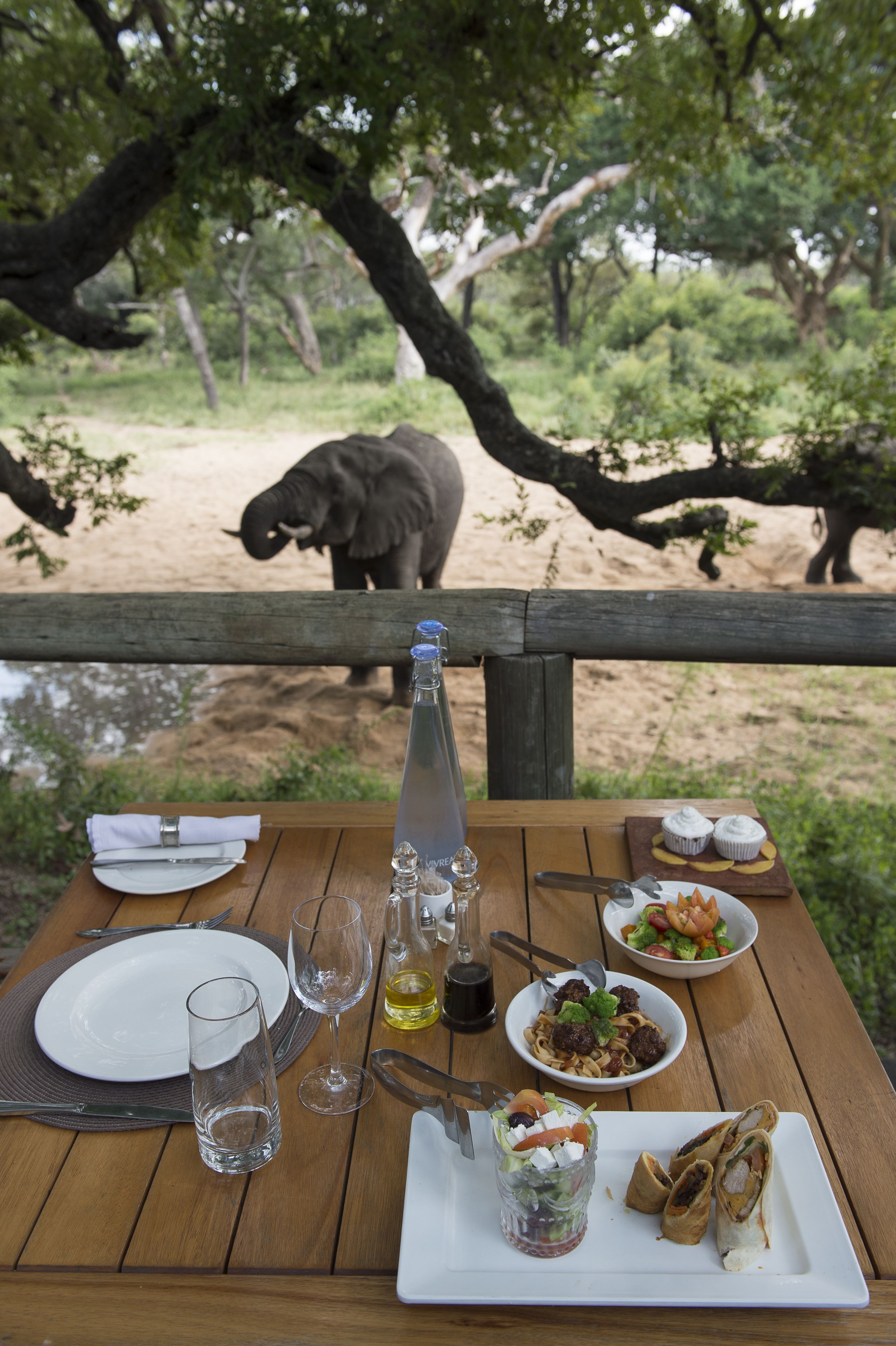 A dining table with plates, glasses, and a bottle, set outdoors with a view of a giraffe in the background.