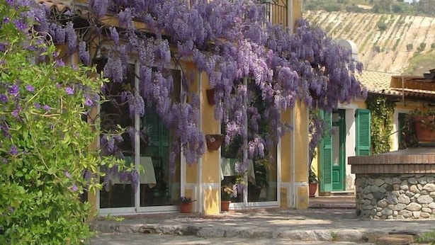 A rustic building with a stone foundation, a green door, and a yellow facade.