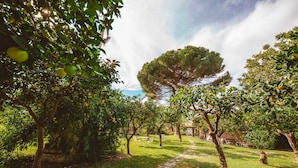 A garden with a stone path, trees, and outdoor furniture.