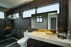 Separate bathtub and shower, free toiletries, hair dryer, bathrobes