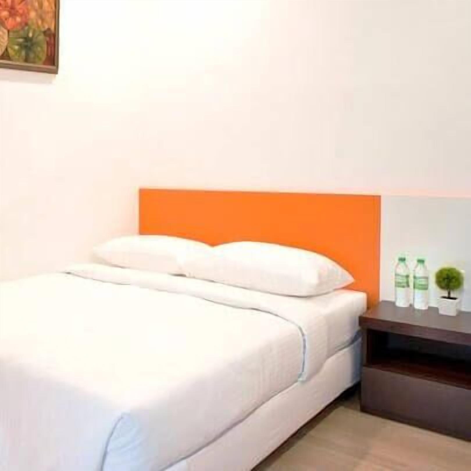 Habitación de hotel con cama, almohadas, mesita de noche con botellas de agua y una pequeña planta en maceta.