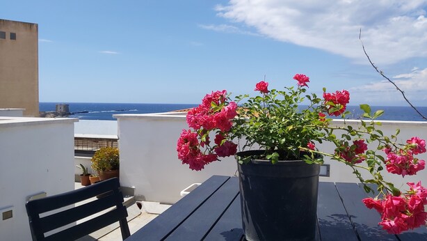 Un balcón con una maceta de flores rosas, un banco negro y vista al mar.