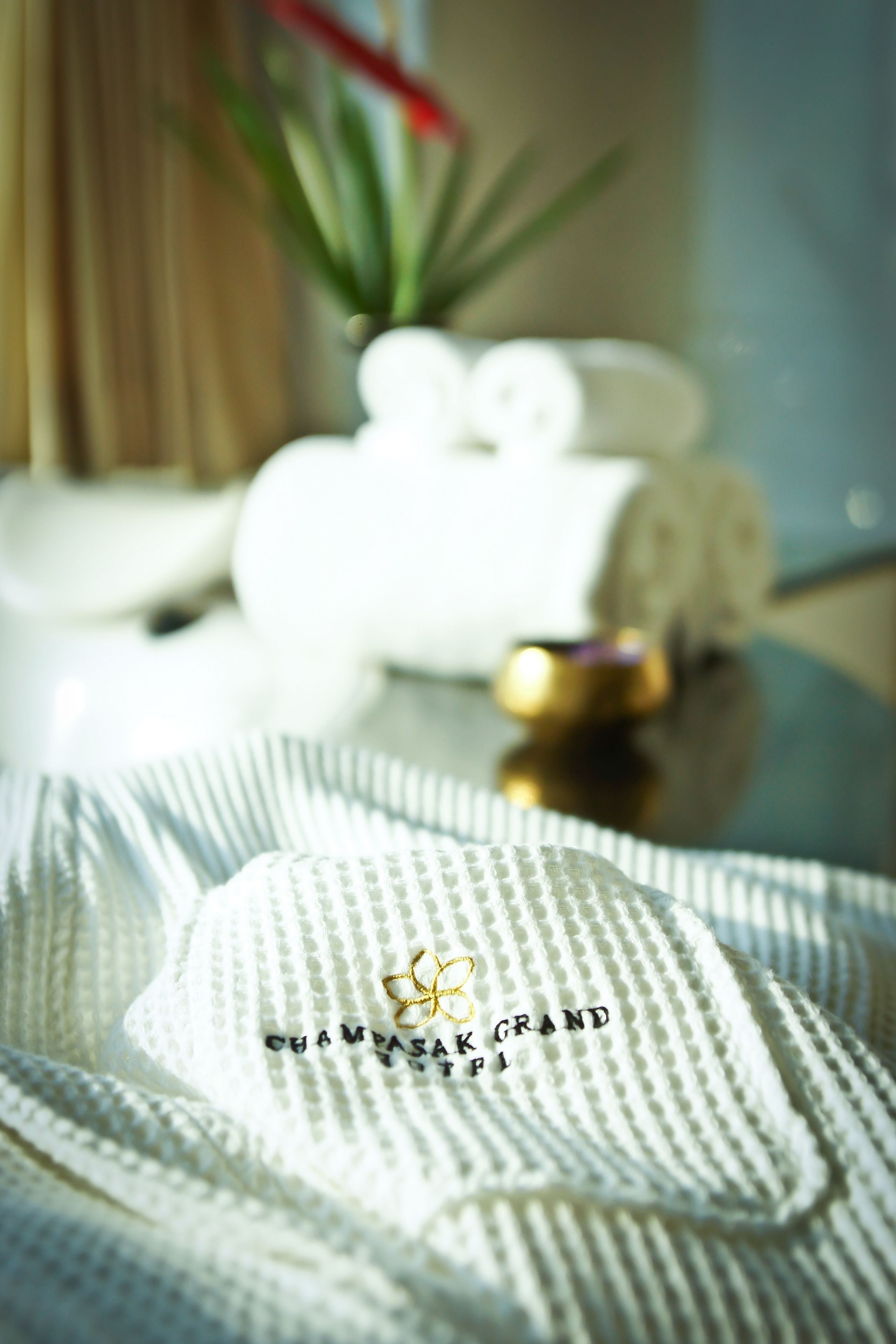 combined shower/bathtub, free toiletries, hair dryer, slippers