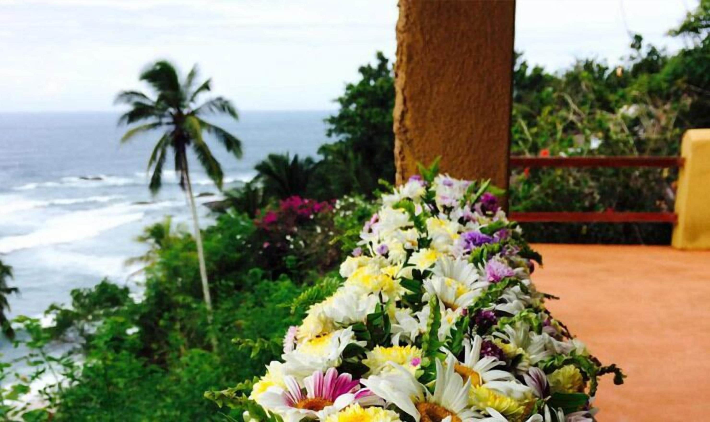 A tropical garden with a variety of flowers and a view of the ocean.