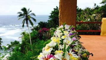 A tropical garden with a variety of flowers and a view of the ocean.