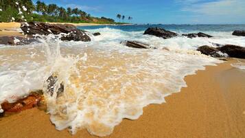 Una playa con olas rompiendo en la orilla, cielo despejado y palmeras al fondo.