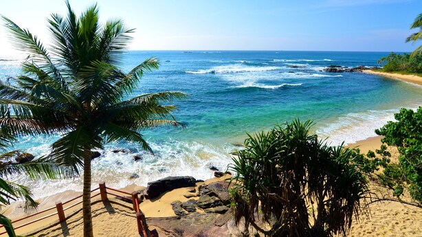 A beach with clear blue water, sandy shore, and palm trees. - Eva Lanka Hotel (Morakatiyara)