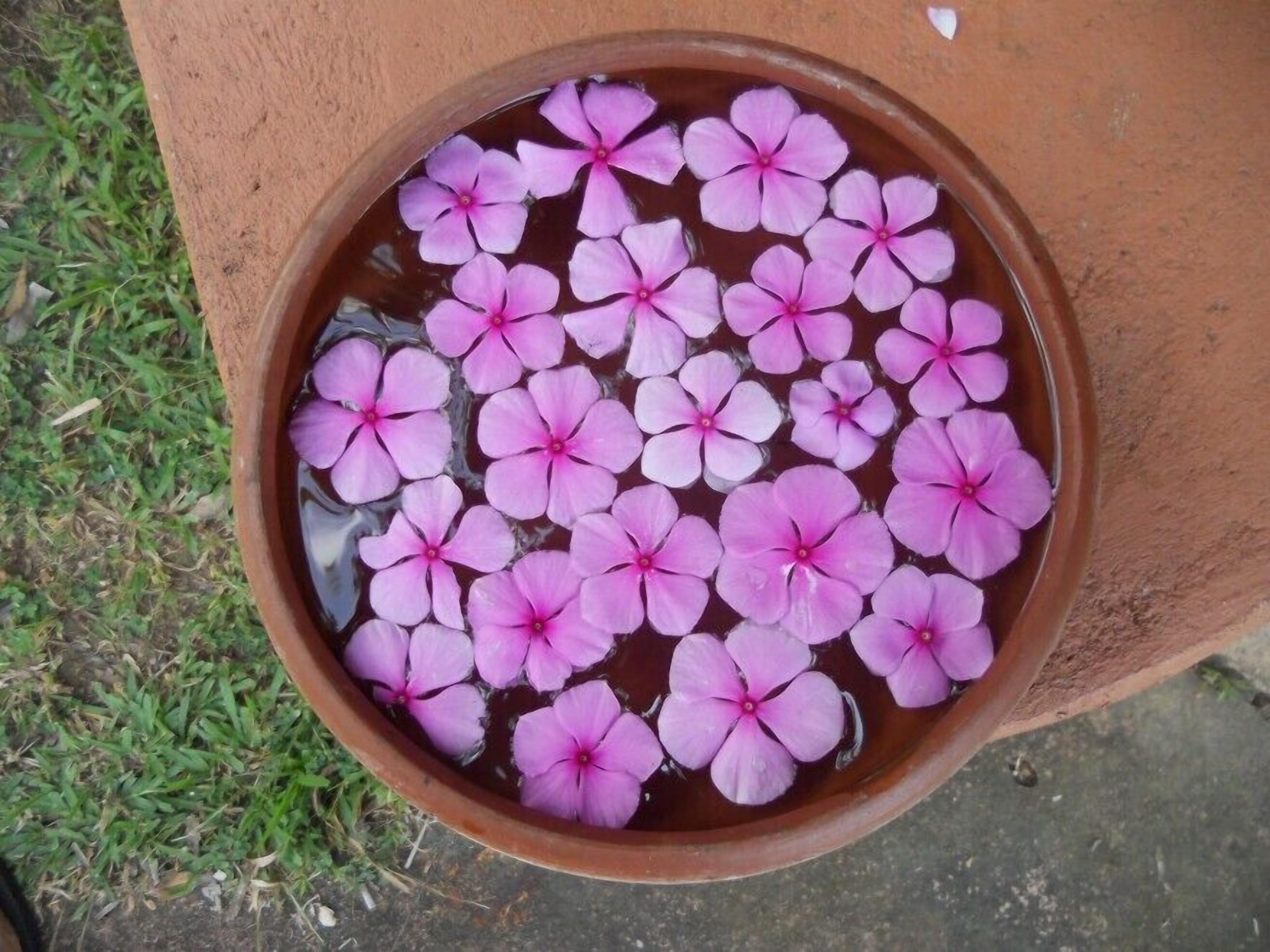 body treatments, facials, ayurvedic treatments