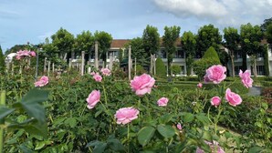 A garden with pink roses, a building with multiple windows, and a clear sky. - Kensington English Garden Resort Khaoyai (Pak Chong)