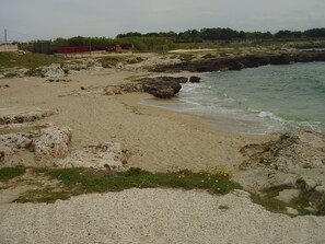 Playa en los alrededores y buceo