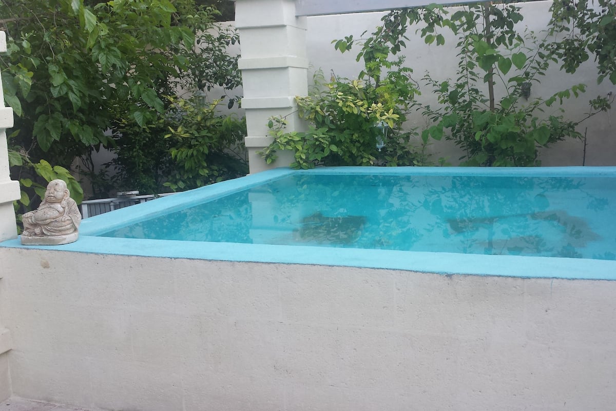 Piscina retangular com borda azul clara, rodeada por um muro branco e vegetação.