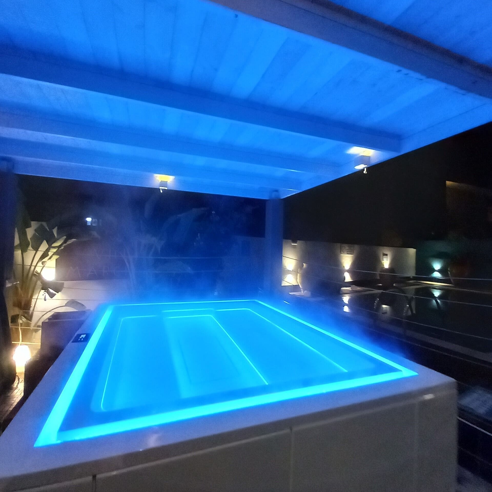A heated outdoor pool area with a blue-lit edge, surrounded by plants and under a covered roof.