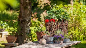 Een rustieke houten tafel met potplanten en een bankje in een weelderige tuin.