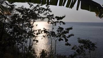 Vista del océano con el sol reflejándose en el agua, rodeado de árboles.