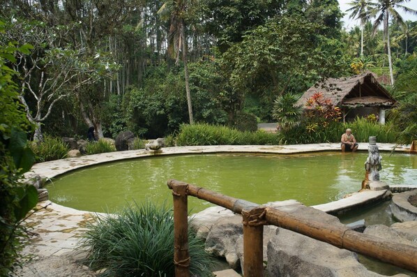 Un jardín natural con un estanque, rodeado de vegetación variada y una cabaña rústica.