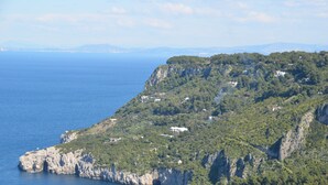 A coastal landscape with a cliff, greenery, and scattered buildings.