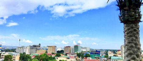 A cityscape with buildings, a palm tree, and a clear sky.