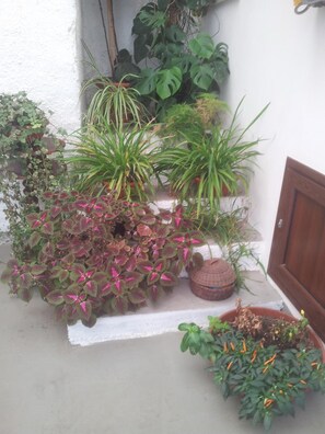 Interior - B&B Da Matì (Campobello di Mazara)