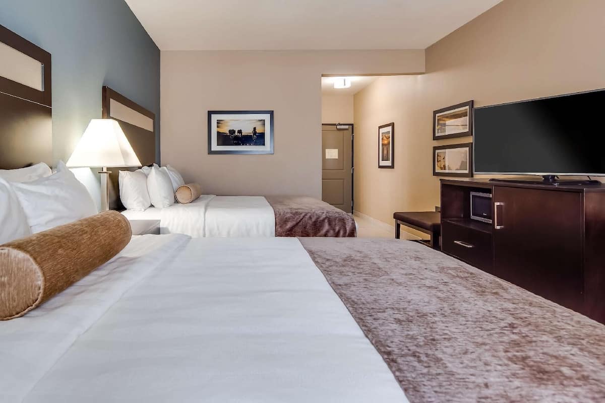 A hotel room with two beds, a TV, a lamp, and a picture on the wall.