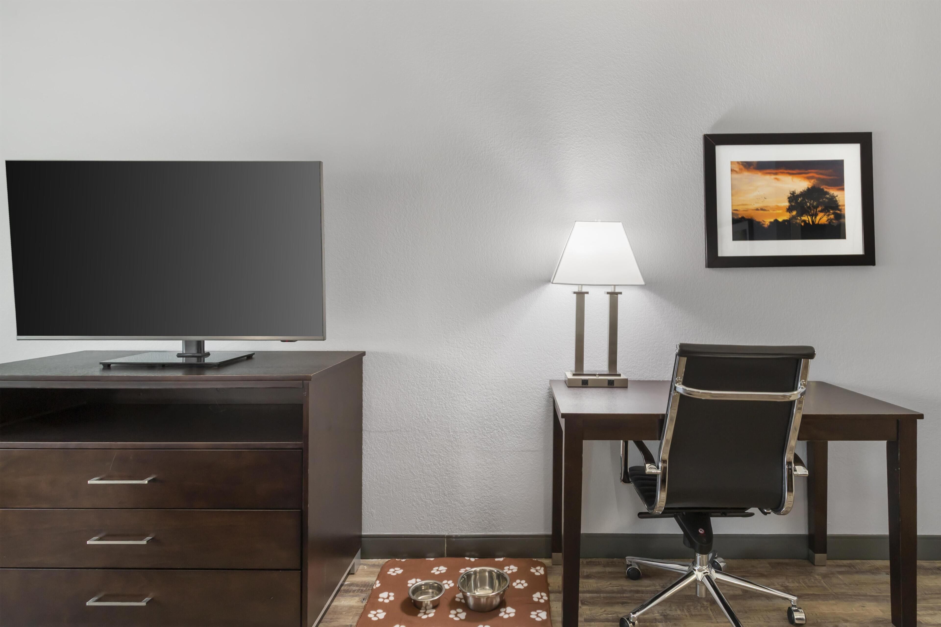 Habitación de hotel con televisión de pantalla plana, escritorio con lámpara, un cuadro en la pared y una cama para mascotas.