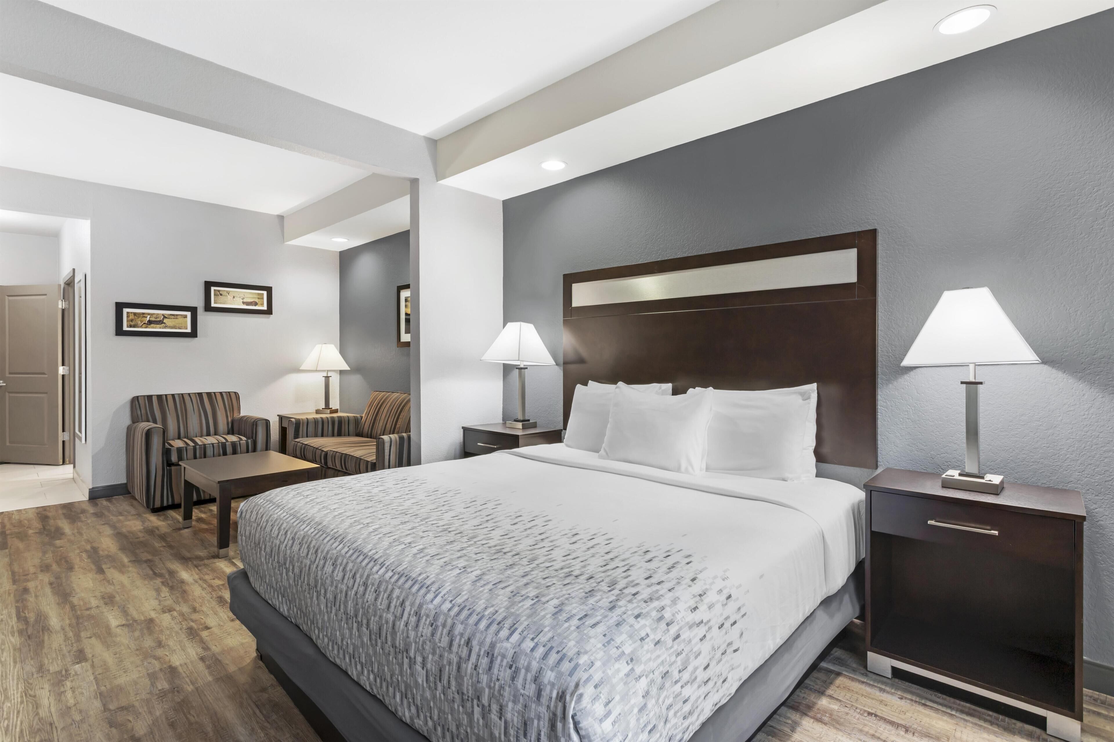 Suite, 1 King Bed, Accessible, Non Smoking (with Sofabed) | Pillow-top beds, desk, laptop workspace, iron/ironing board