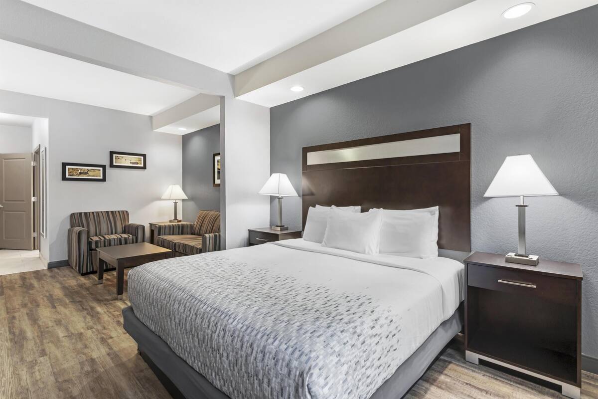 Suite, 1 King Bed, Accessible, Non Smoking (with Sofabed) | Pillowtop beds, desk, laptop workspace, iron/ironing board