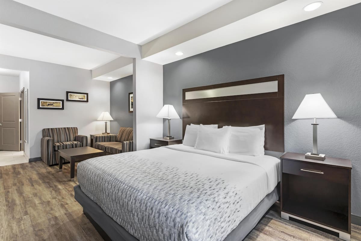 Suite, 1 King Bed, Accessible, Non Smoking (with Sofabed) | Pillow-top beds, desk, laptop workspace, iron/ironing board