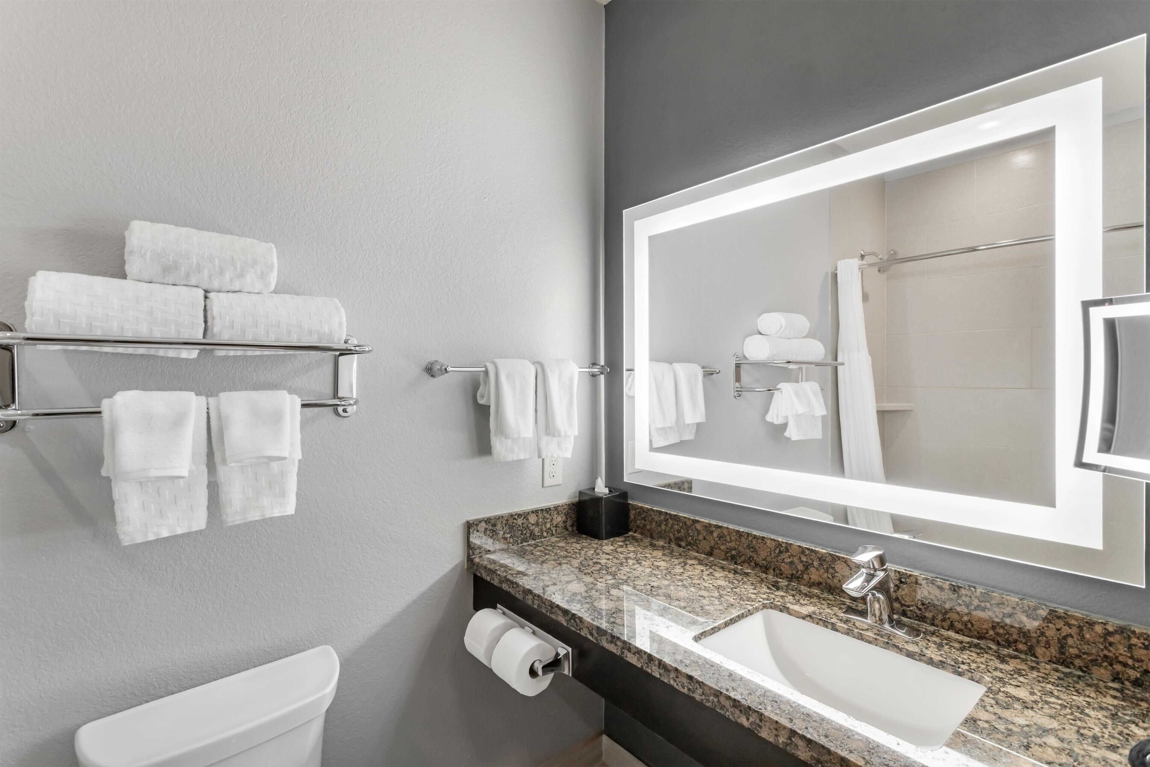Une salle de bain moderne avec un grand miroir, un lavabo, des toilettes et des porte-serviettes.