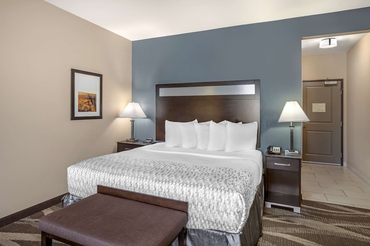 Standard Room, 1 King Bed, Non Smoking, Refrigerator & Microwave (Oversized Room)