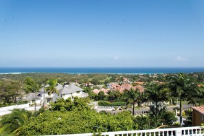 A residential area with houses, palm trees, and a view of the ocean.