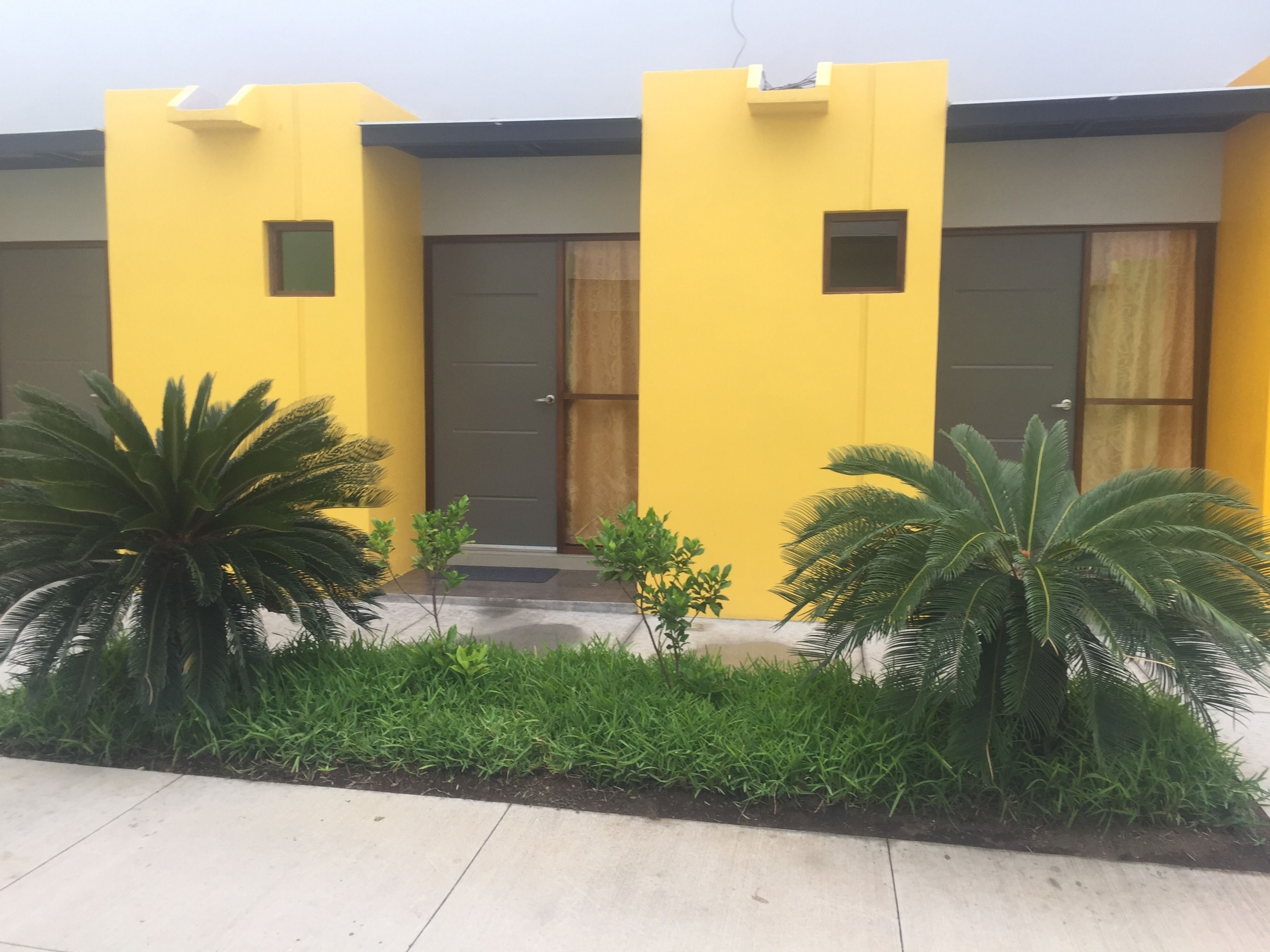 Un bâtiment jaune avec une porte sombre, entouré de plantes vertes et bordé d’un chemin en béton.