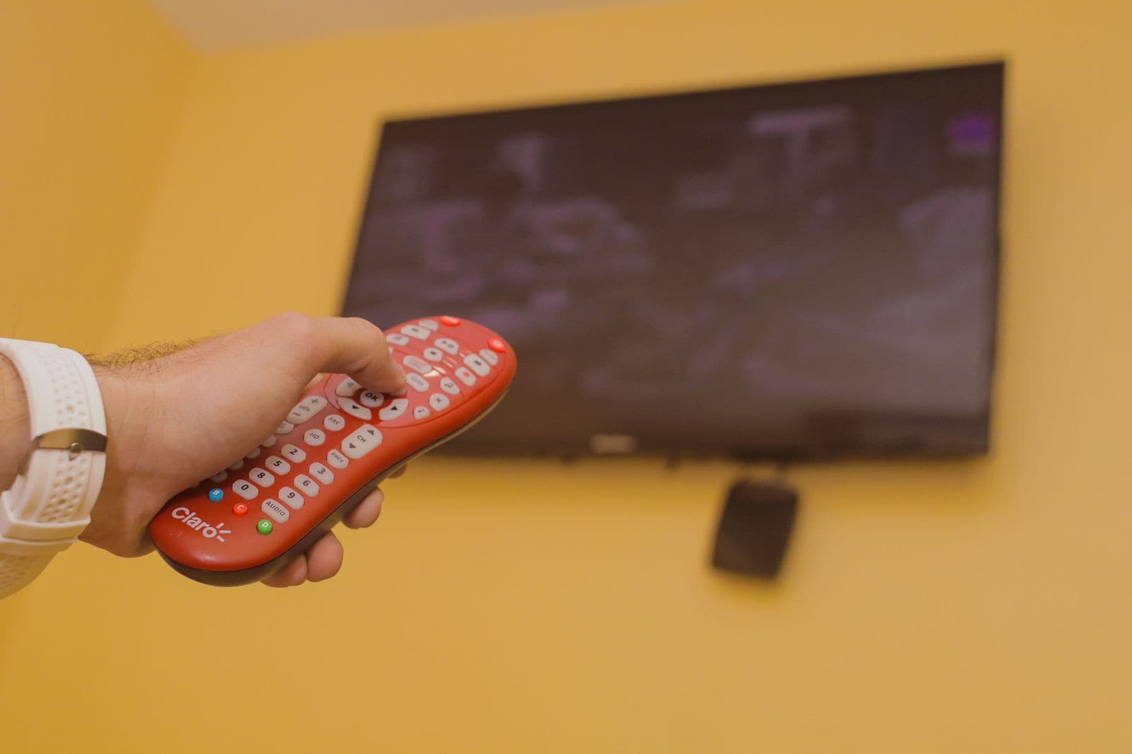 family studio suite, 1 bedroom, private bathroom | desk, free wifi, bed sheets