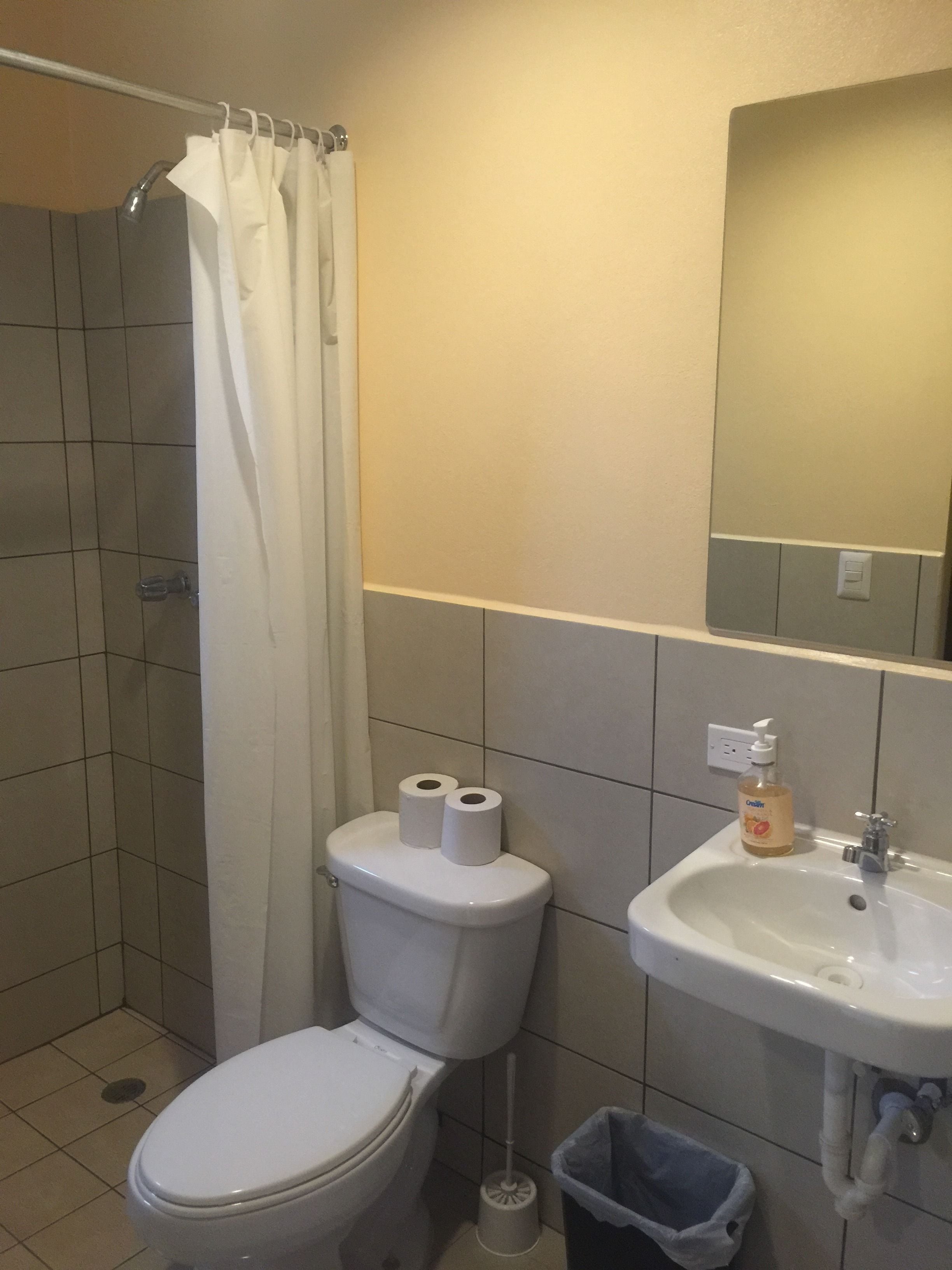 family studio suite, 1 bedroom, private bathroom | bathroom | shower, free toiletries, hair dryer, towels
